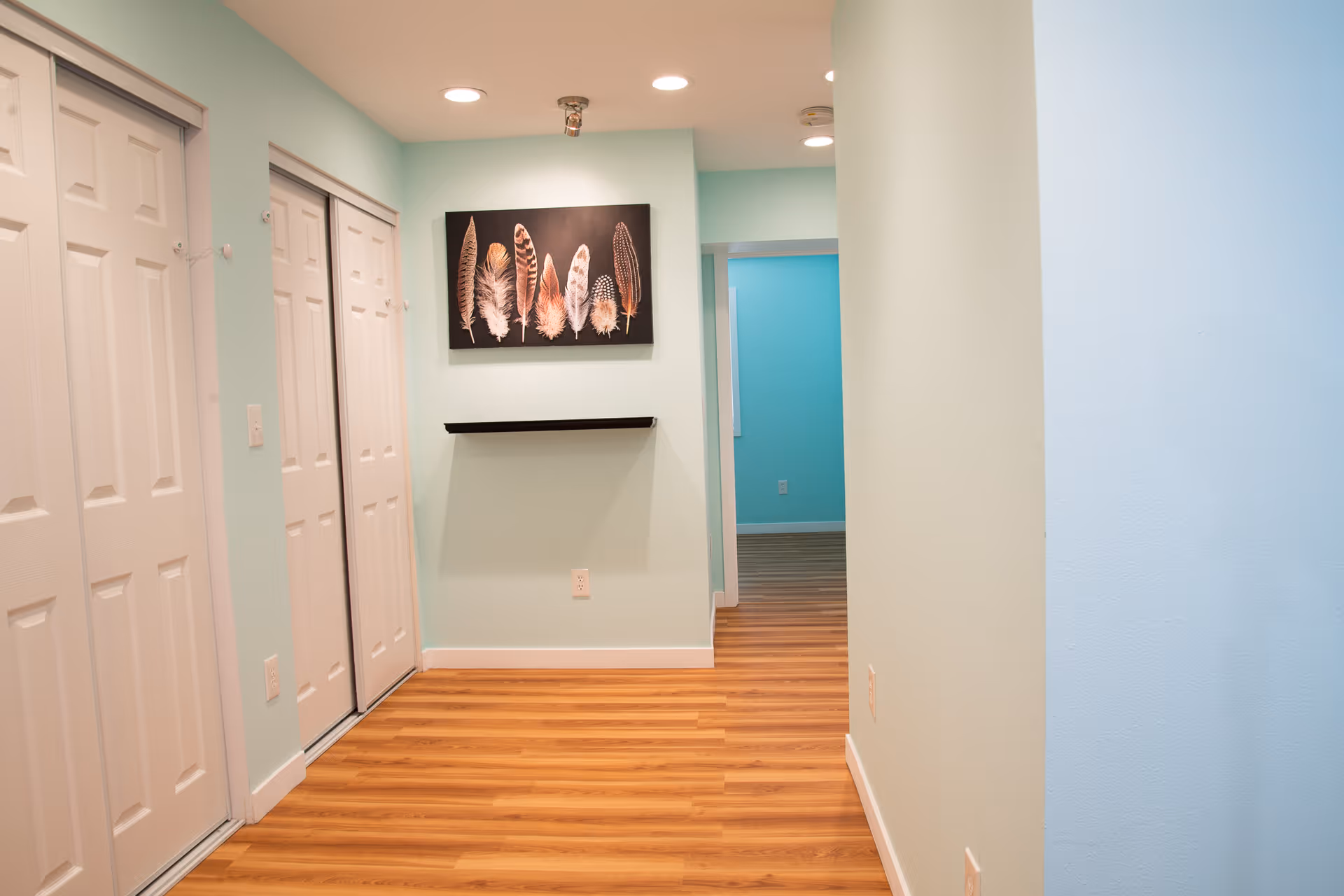 A hallway with light blue walls and wooden flooring. On the left side, there are white double closet doors. A black shelf is mounted on the wall, above which hangs a framed artwork featuring various feathers. The hallway leads to another room with a similar blue wall color.