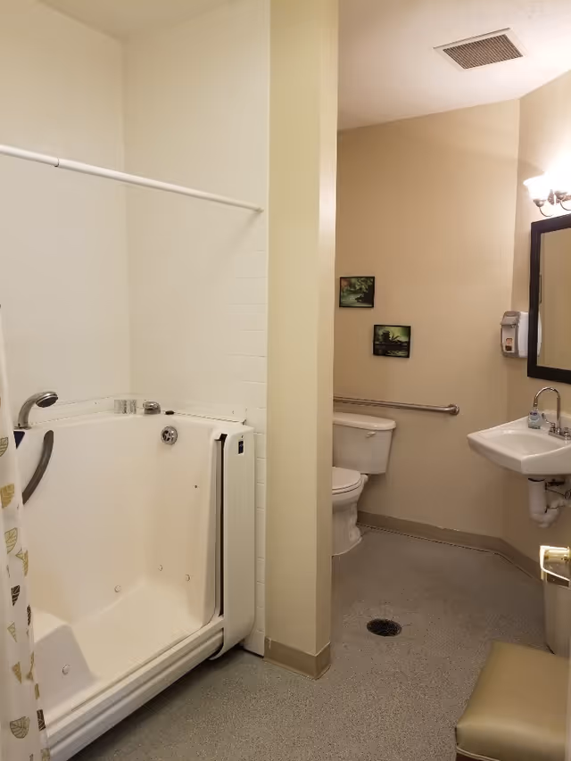A bathroom with a walk-in bathtub on the left side, a toilet in the back corner, a wall-mounted sink with a mirror above it on the right, and two small framed pictures on the wall. The floor is covered with a speckled gray material, and there is a grab bar next to the toilet. A shower curtain with leaf patterns is partially visible on the left.