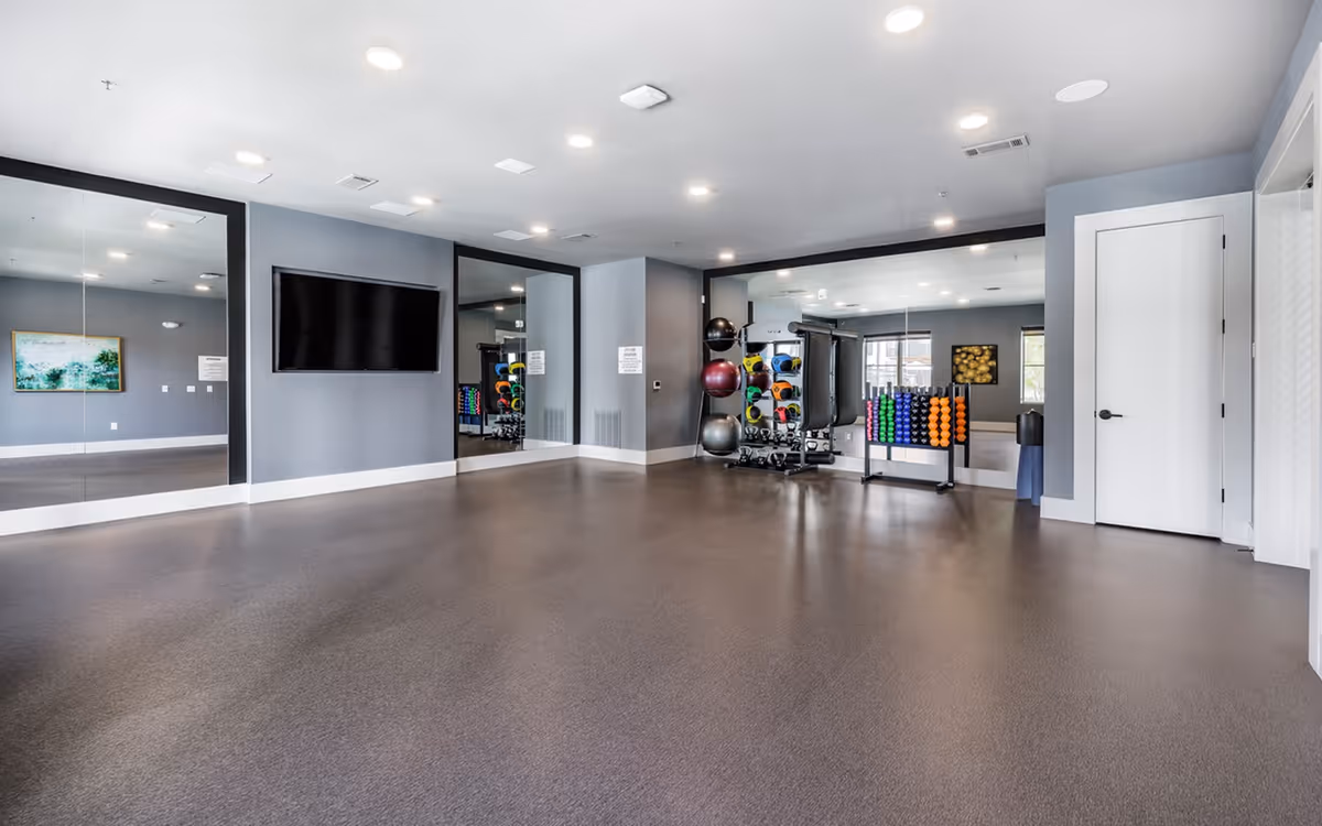 A spacious fitness or exercise room with large mirrors on the walls, a mounted flat-screen TV, and racks holding colorful exercise balls and dumbbells. The room has gray walls, a brown floor, and recessed ceiling lights.