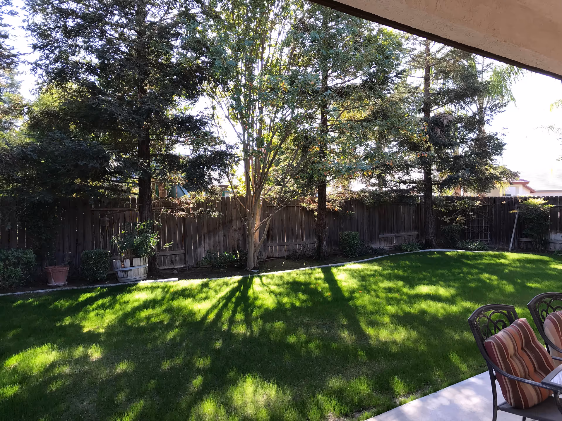 A shaded backyard garden area with green grass, several trees, and a wooden fence. There are potted plants along the fence and outdoor chairs with striped cushions on a patio in the foreground.