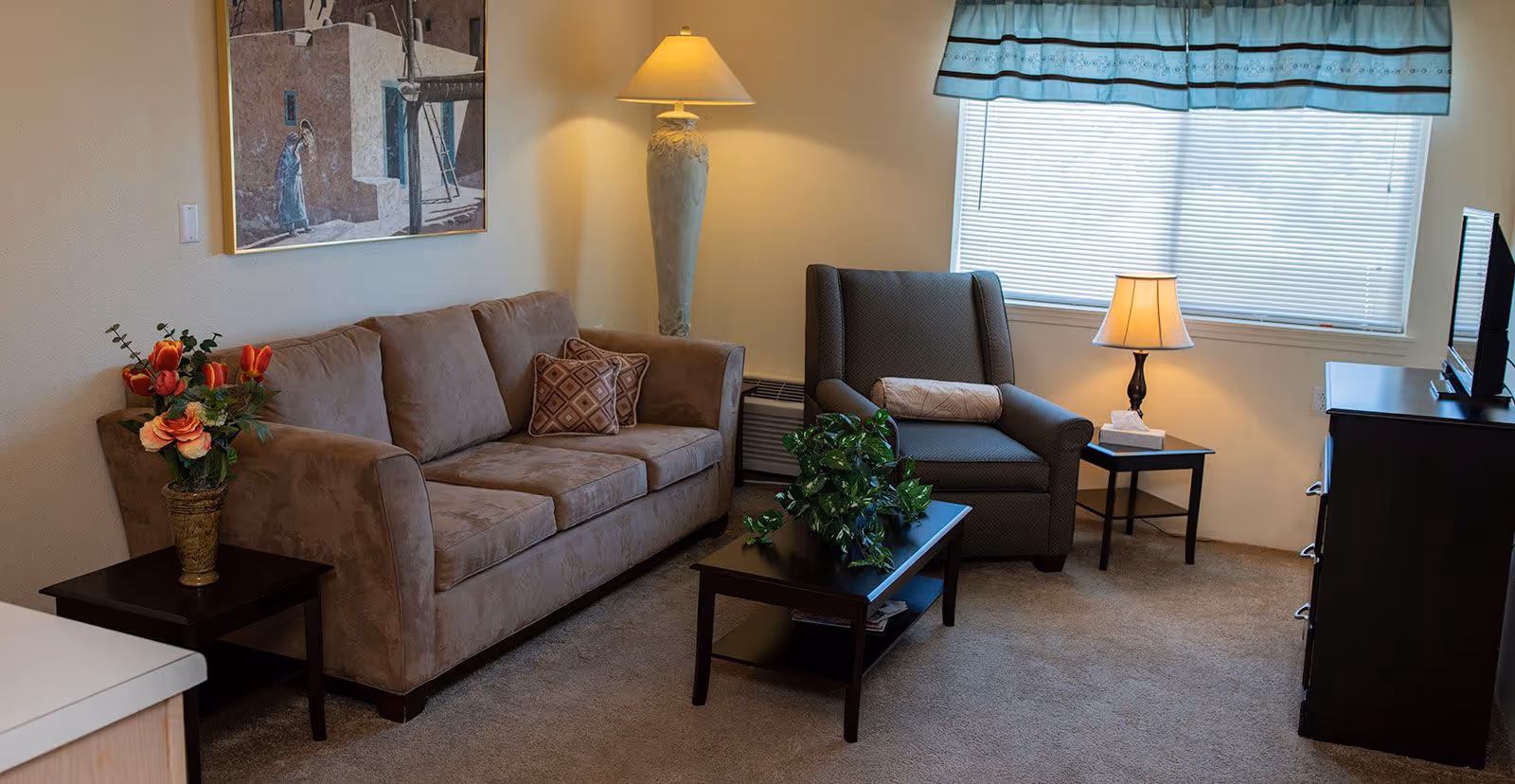 A cozy living room with a beige sofa, a patterned armchair, a coffee table with a green plant, a side table with a lamp and tissues, a floor lamp, a window with blinds and a valance, a TV on a dark dresser, and a framed painting on the wall.