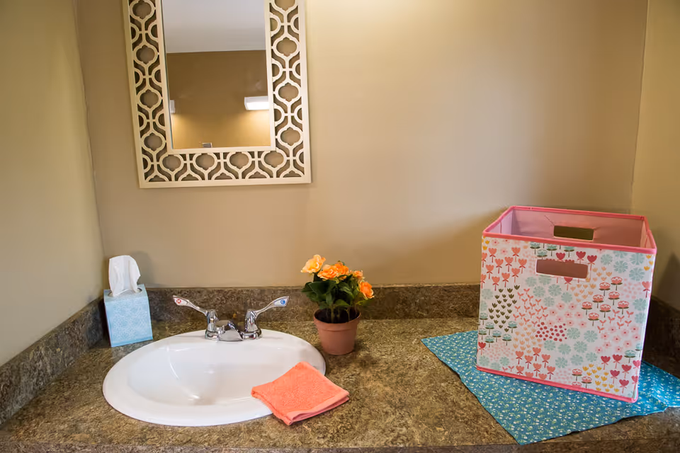 A bathroom countertop with a white sink and silver faucet, a small potted plant with orange flowers, a pink washcloth, a box of tissues, and a decorative storage box with a floral pattern. A decorative mirror with a geometric frame hangs on the beige wall above the sink.