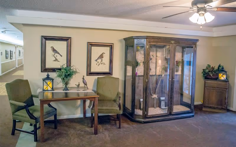 A cozy interior corner of a senior living facility with two green upholstered chairs and a wooden table between them. On the table are decorative items including a lantern and a small plant. Behind the table are two framed bird illustrations on the wall. To the right is a large glass display cabinet with mounted birds inside. A ceiling fan with lights is visible above, and a hallway extends to the left.