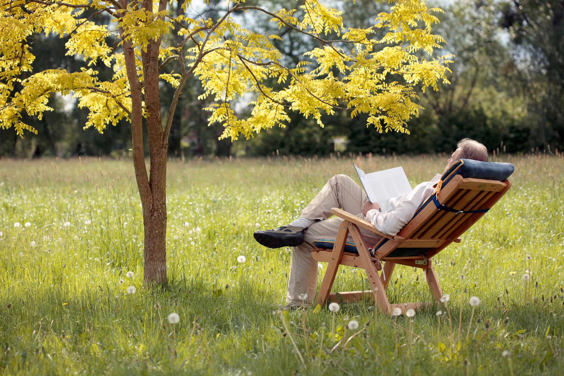 A person reclining in a wooden lounge chair under a leafy tree in a sunny grassy field while reading a book.