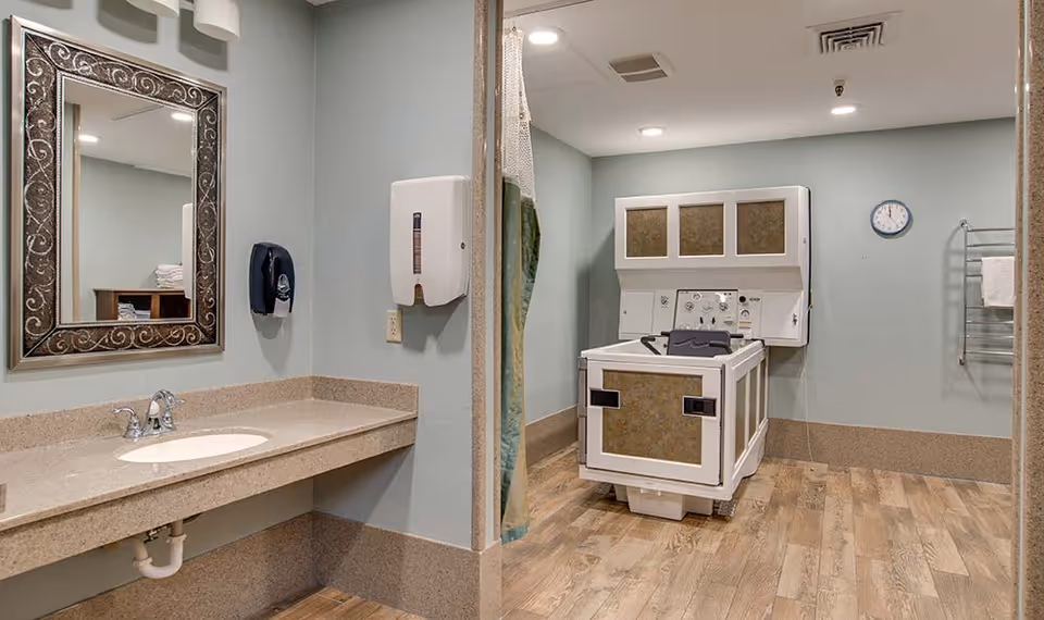 A spacious assisted-living bathroom with a sink and decorative mirror on the left and an accessible bathing tub and shower area on the right.