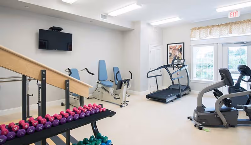 A well-lit fitness room with exercise equipment including a treadmill, stationary bikes, weight machines, and a rack of colorful dumbbells. There is a TV mounted on the wall and a window with curtains letting in natural light.