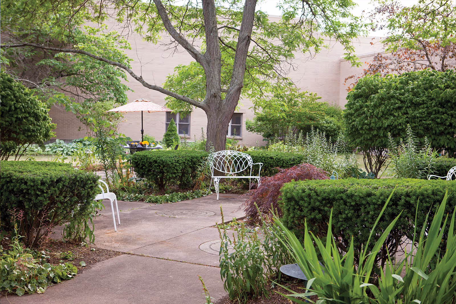 A peaceful outdoor garden area with a paved walkway surrounded by green bushes, plants, and trees. There are white metal benches and chairs, and a table with a floral umbrella in the background near a beige brick building.