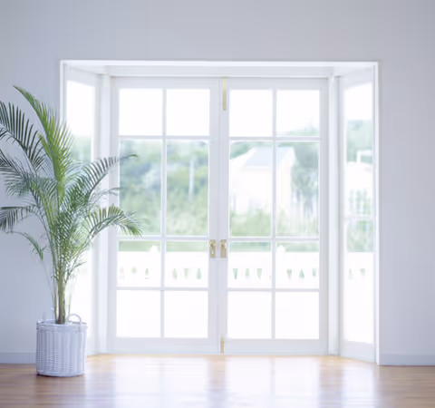 Bright room with large white-framed glass double doors leading outside, a potted green plant in a white wicker basket on the left, and light wooden flooring.