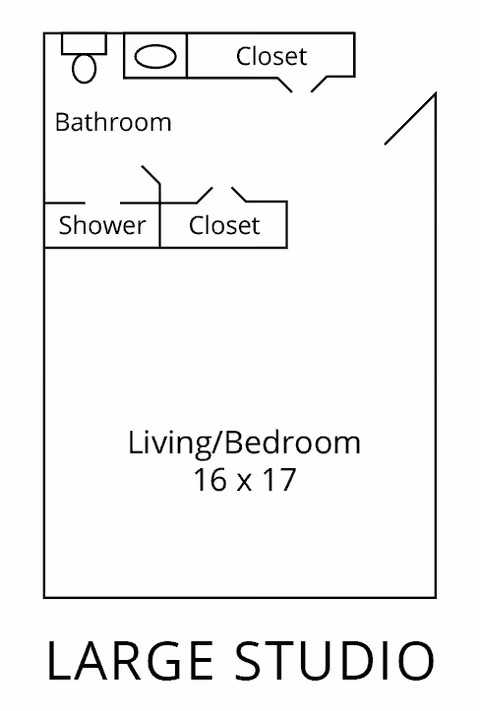Floor plan of a large studio apartment showing a combined living and bedroom area measuring 16 by 17 feet, a bathroom with a toilet and sink, a shower, and two closets.