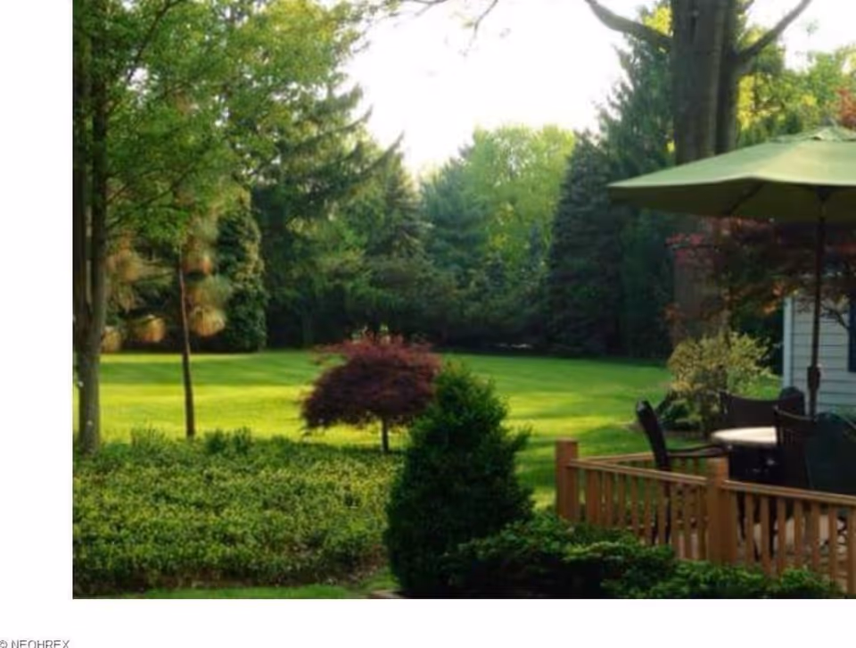 A green backyard with a lawn, trees and shrubs, and a patio area with a table, chairs and a large umbrella.