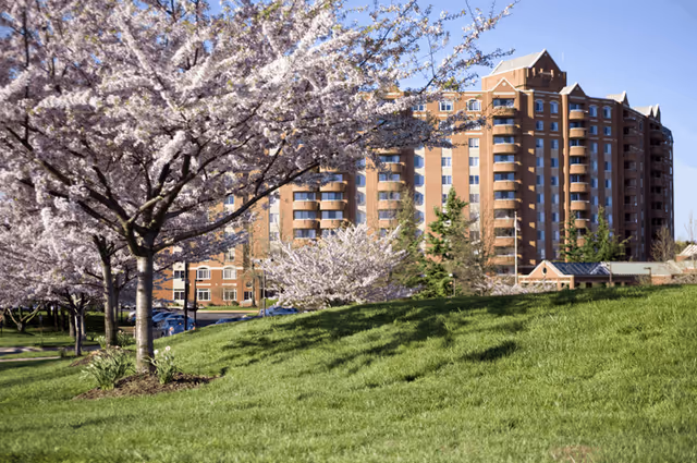 Multi-story brick residential building framed by blooming cherry trees and a grassy lawn under a clear blue sky.