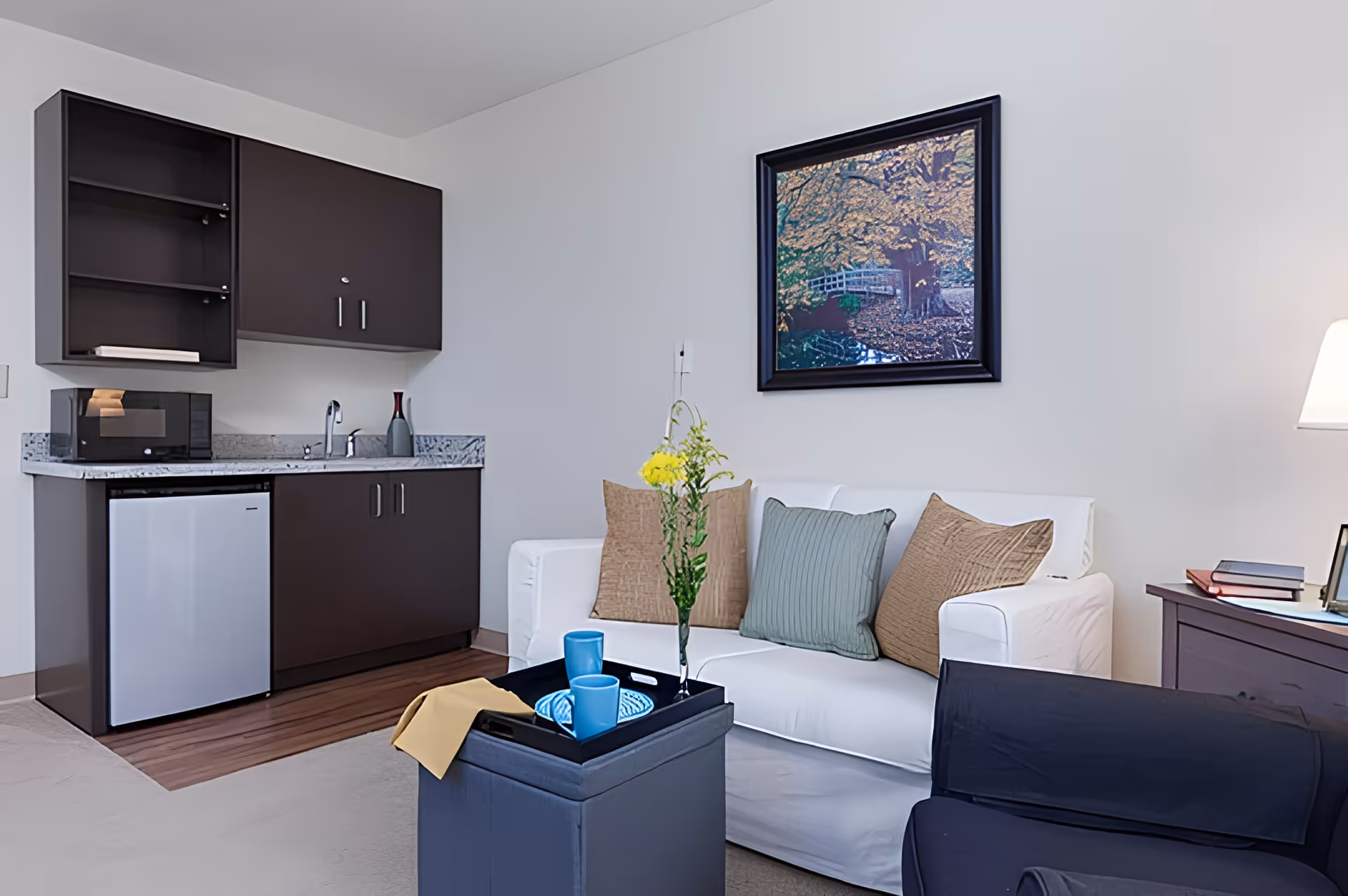 A cozy living area in an assisted living community featuring a white sofa with three decorative pillows, a small dark ottoman with a tray holding two blue cups and a yellow napkin, a dark armchair, a side table with books and a lamp, and a kitchenette with dark cabinets, a small refrigerator, a microwave, and a sink. A framed picture of a tree and a bridge hangs on the wall above the sofa.