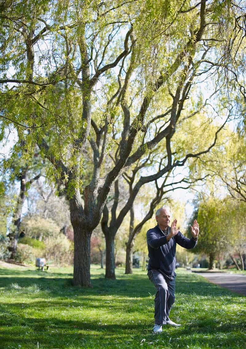 An elderly man practicing Tai Chi in a grassy park area with large trees and sunlight filtering through the leaves.