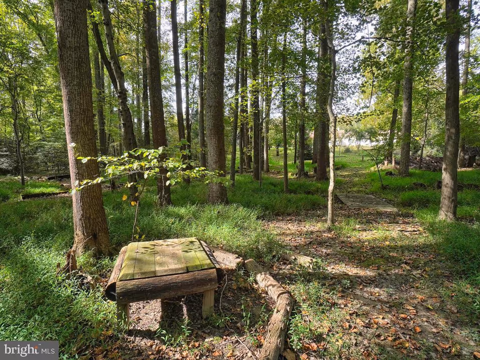 A wooded outdoor area with tall trees and green undergrowth. There is a small wooden platform or bench in the foreground and a narrow dirt path leading through the trees. Sunlight filters through the leaves, creating a peaceful natural setting.