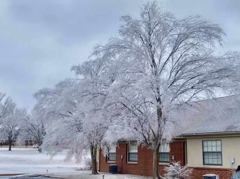 Snow-covered trees and ground surrounding a brick and beige building under a cloudy sky, with frost coating the branches.