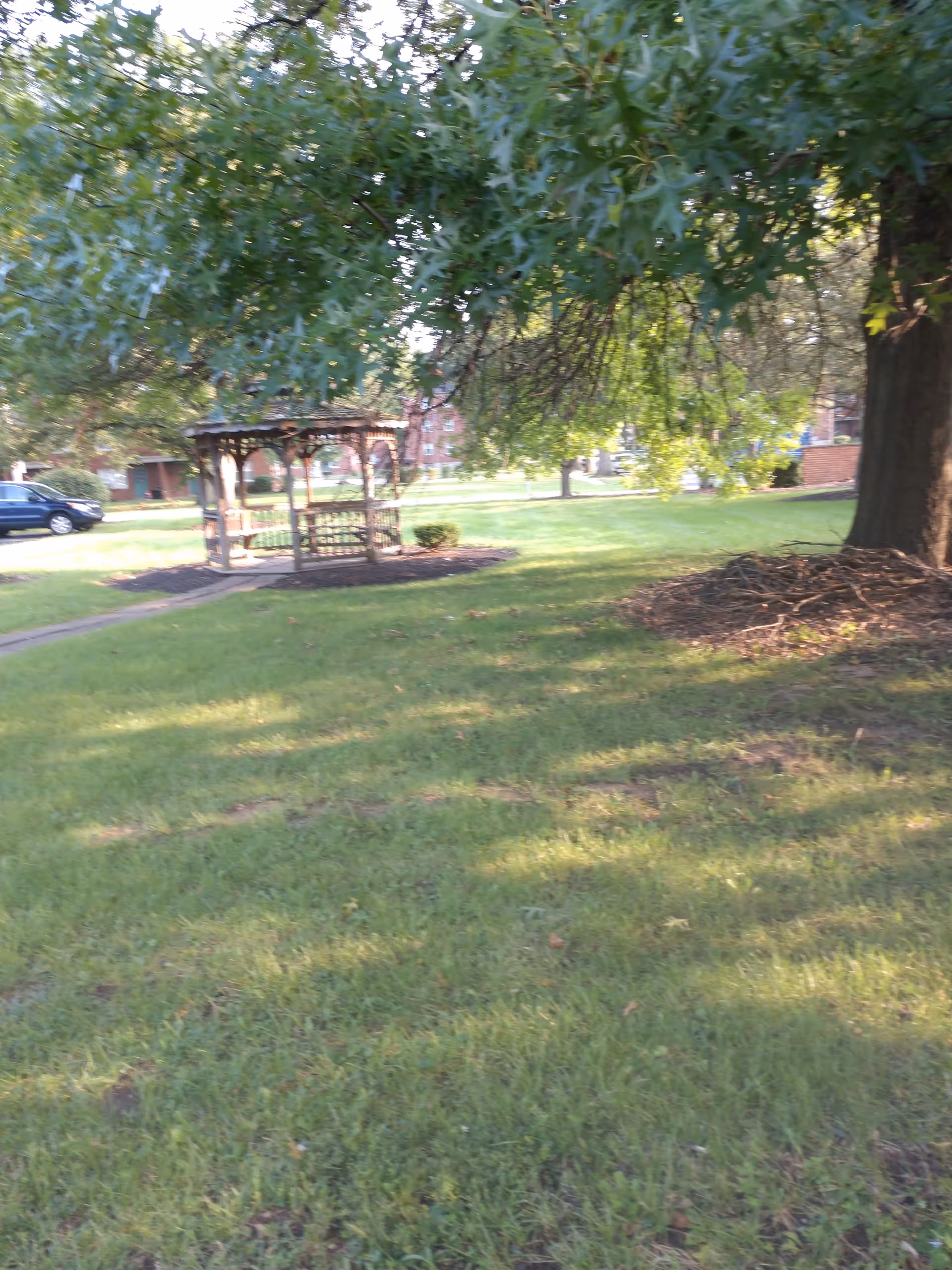 A grassy outdoor area with a large tree on the right and a wooden gazebo in the middle distance. There are buildings and a parked car visible in the background under a clear sky.