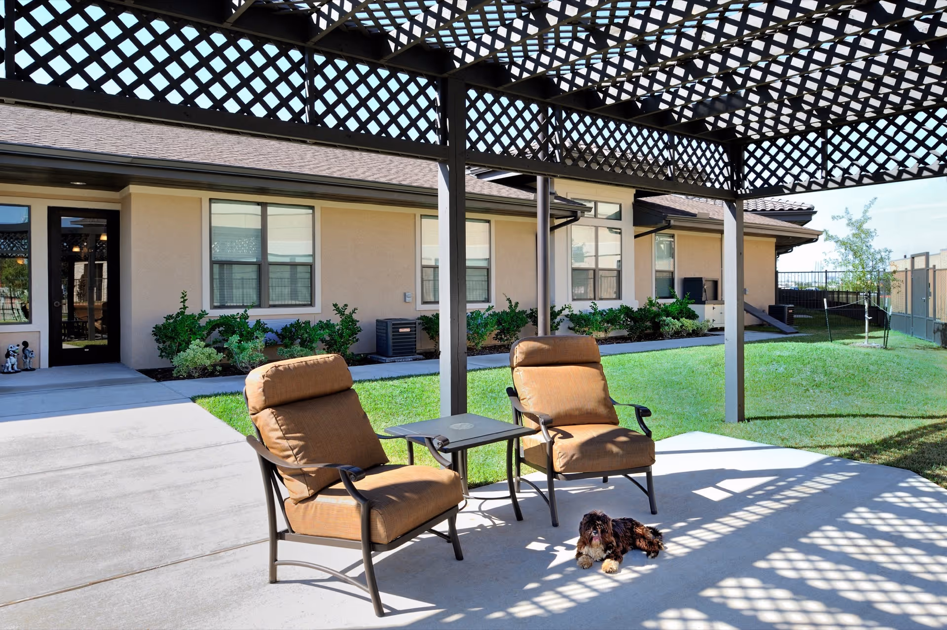 Two cushioned patio chairs and a small side table under a lattice pergola on a sunny courtyard in front of a single-story building, with a small dog lying on the concrete.