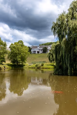 A serene outdoor scene featuring a pond with reflections of surrounding trees and a large weeping willow on the right. In the background, there is a large building situated on a grassy hill under a cloudy sky.
