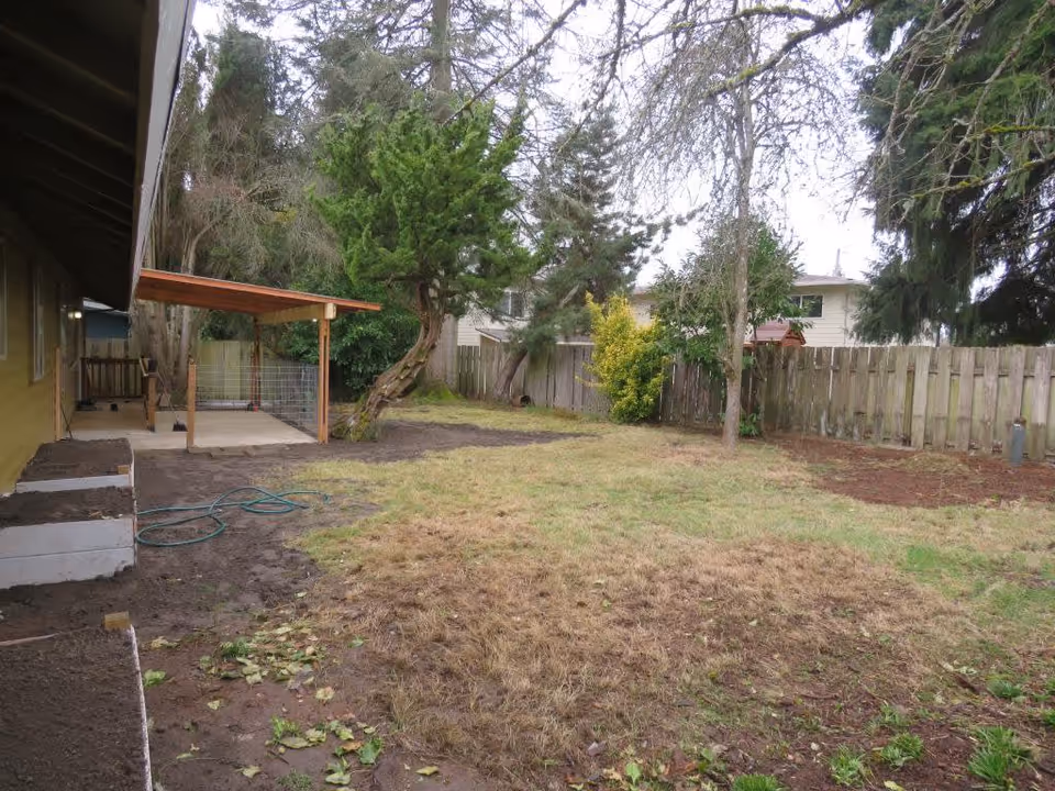 A backyard area with patchy grass and some bare soil patches. There is a wooden fence enclosing the yard, several trees, and a small covered patio attached to the side of a yellow building. A garden hose is coiled on the ground near the patio.