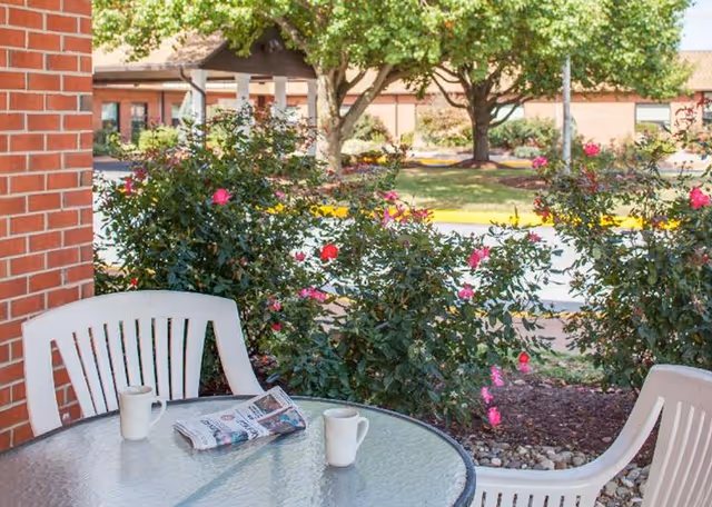 Outdoor patio area with a round glass table and two white plastic chairs. On the table are two white mugs and a folded newspaper. Behind the table, there are bushes with pink flowers and a tree in the background near a brick wall.
