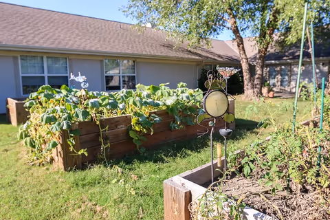 Raised garden beds with green plants and a decorative garden thermometer in a sunny outdoor area with a building and trees in the background.