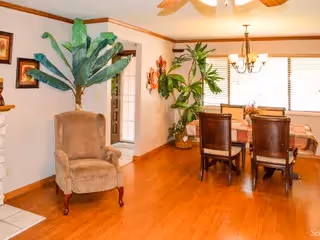 Open-plan dining and sitting area with a wooden dining table and chairs, an upholstered armchair, potted plants, and hardwood floors.