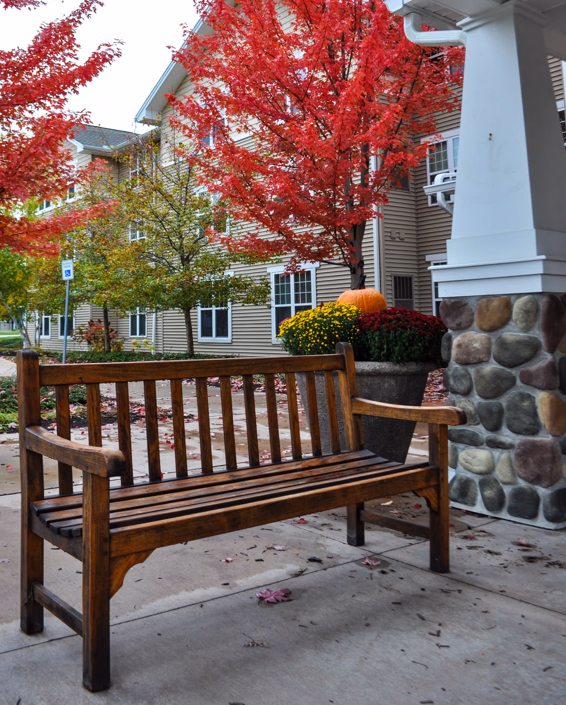 Wooden bench on a sidewalk outside a multi-story residential building with bright red autumn trees and a pumpkin-decorated planter.