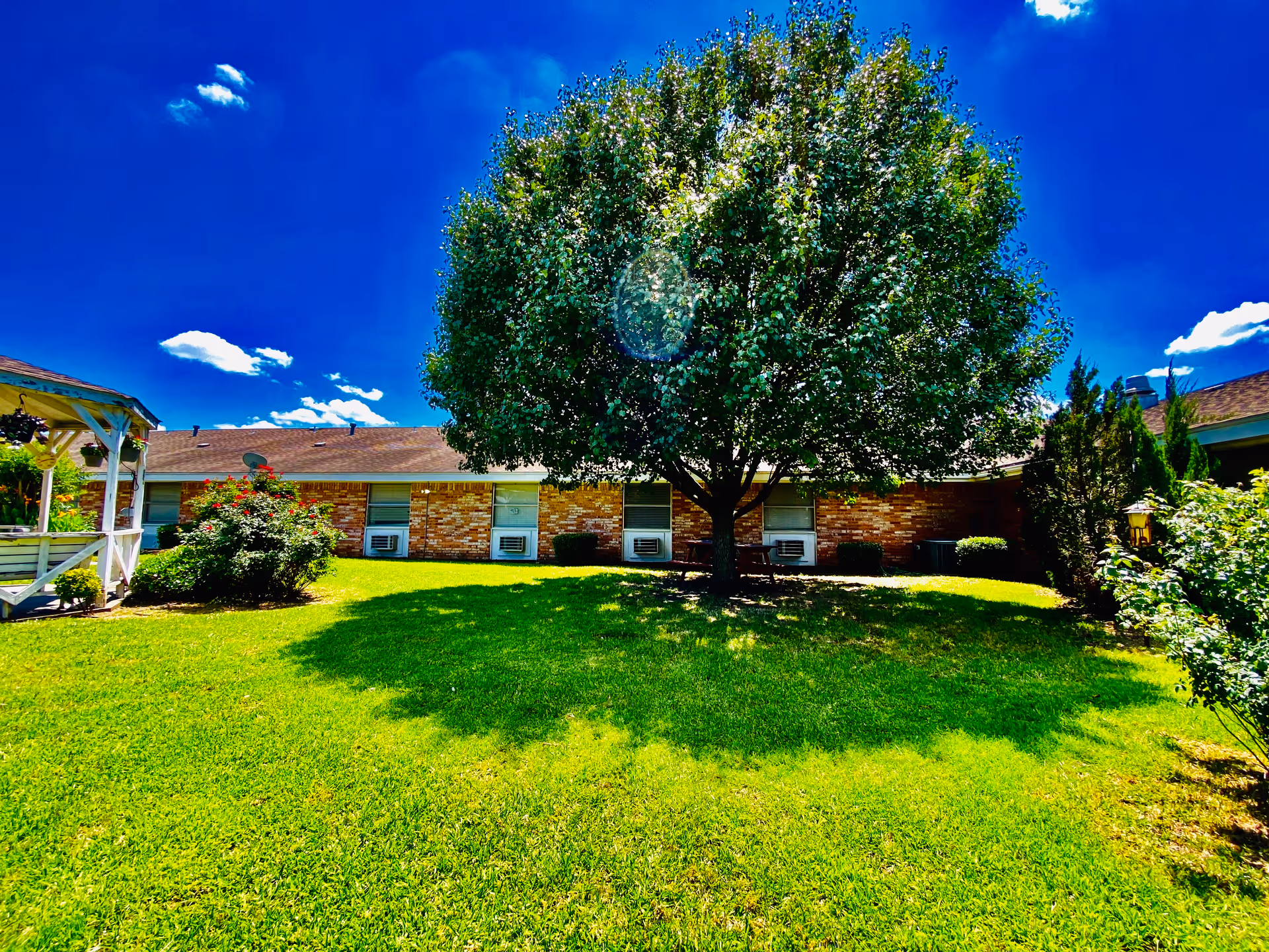 A bright outdoor garden area at Colonial Manor Nursing Center featuring a large leafy tree in the center, green grass, bushes, and a brick building with multiple windows and air conditioning units in the background under a clear blue sky with a few clouds.