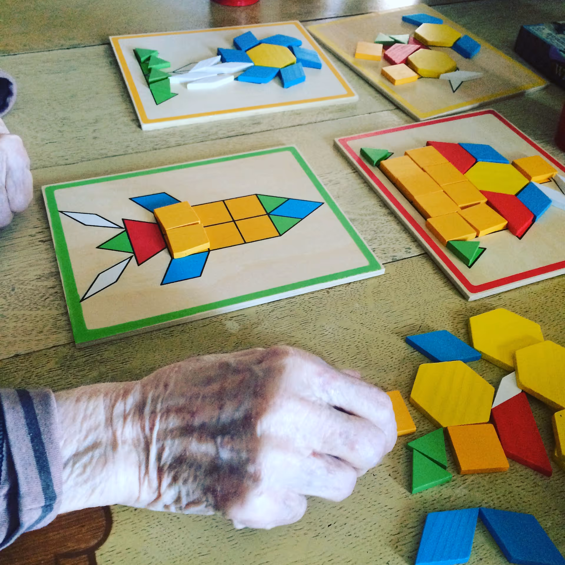 An elderly person's hand is seen placing colorful geometric wooden blocks on a table, matching them to shapes on puzzle boards depicting various designs such as a rocket and a flower.