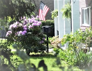 A garden area with blooming purple flowers and green plants in front of a building. An American flag is mounted on a pole near the building's entrance, and there are hanging ferns on the porch. The scene is sunlit with a well-maintained lawn.