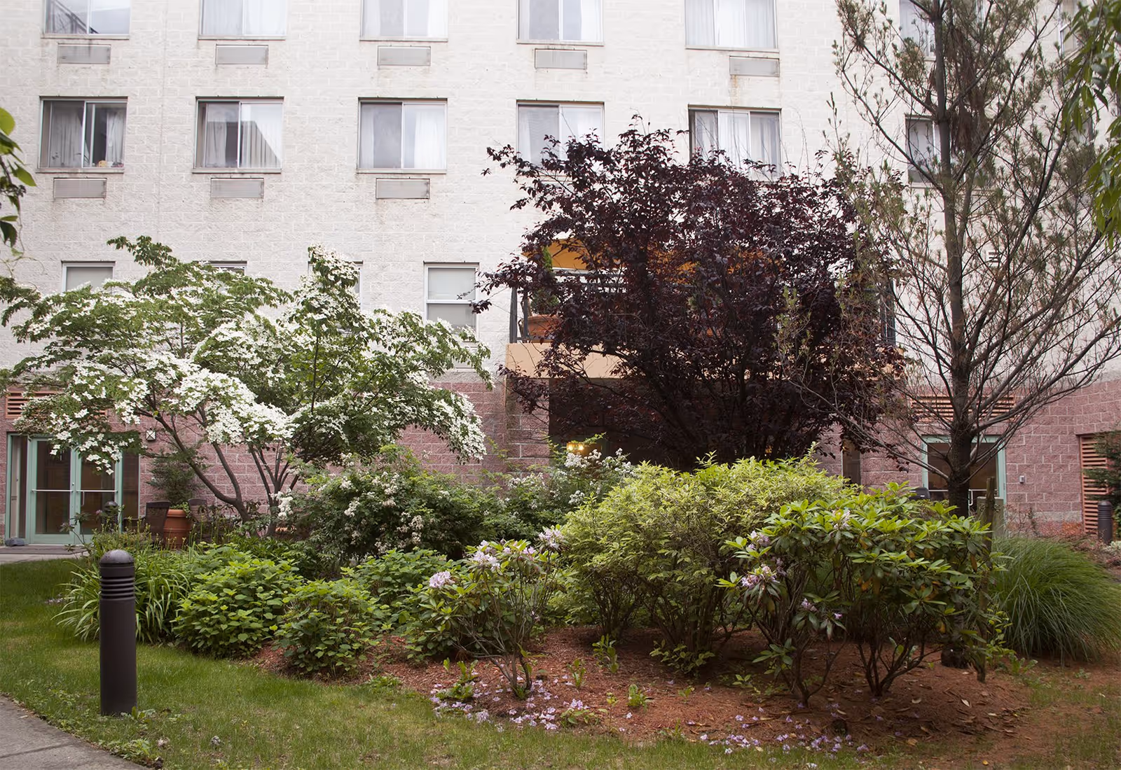 A landscaped garden area with various green shrubs, flowering plants, and trees in front of a multi-story building with several windows. The building has a light-colored brick exterior with a lower section of reddish bricks. There is a small pathway and a black outdoor light fixture visible on the left side.