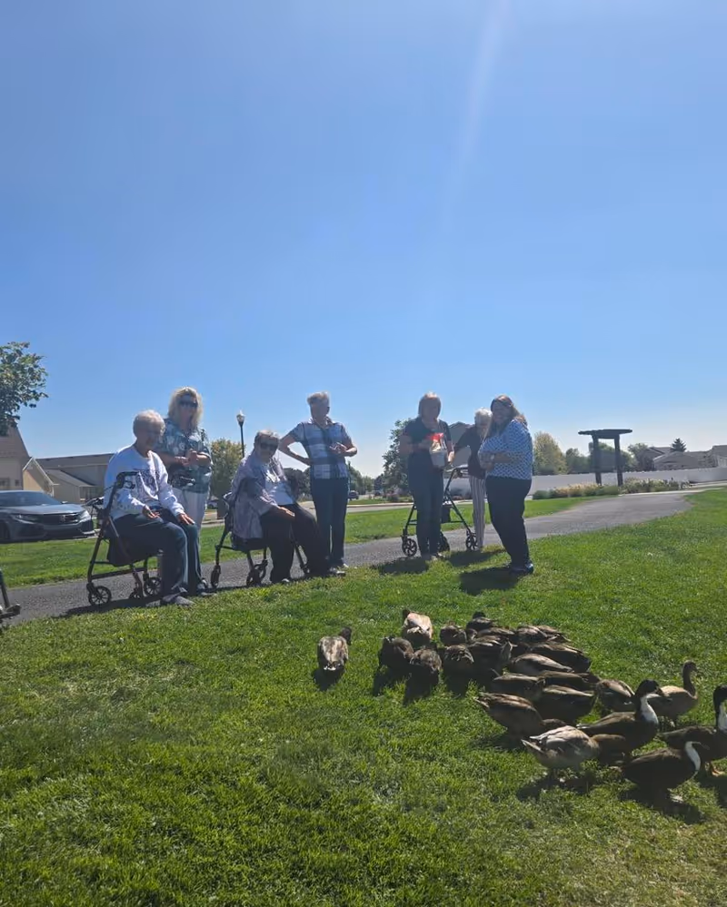 A group of elderly people, some using walkers, standing and sitting on a paved path next to a grassy area where a flock of ducks is gathered under a clear blue sky at Country Pines Retirement Community.