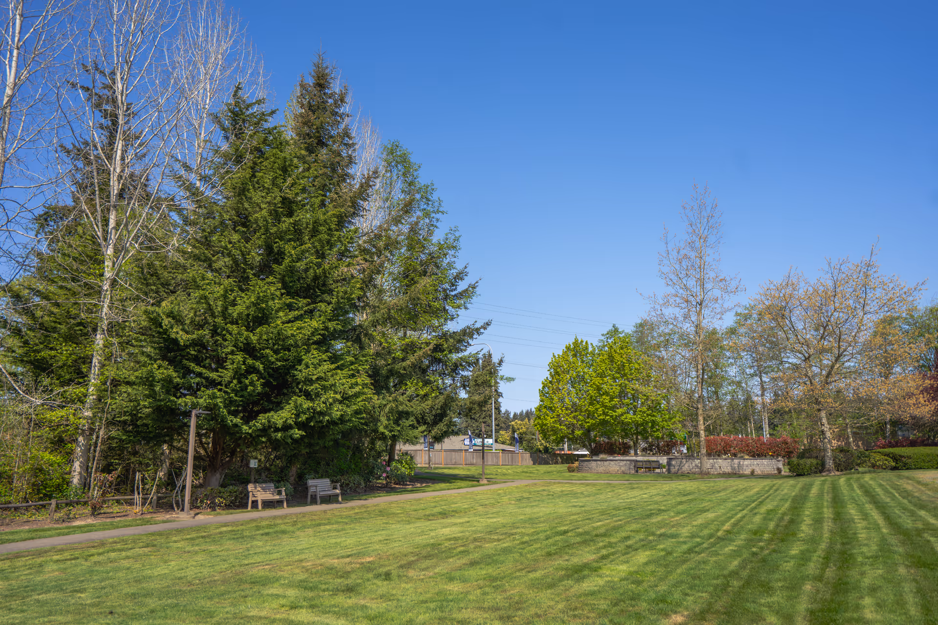 Wide grassy lawn with benches, trees, and a clear blue sky.