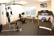 A small fitness room with exercise equipment including a multi-gym machine, a stationary bike, a treadmill, and various exercise balls. There is a window letting in natural light and a TV mounted on the wall.