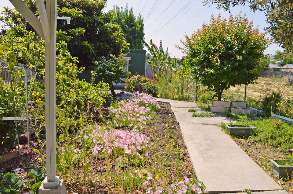 A garden pathway with blooming pink flowers and various green plants on either side. There is a small tree on the right side near a chain-link fence, and a covered porch post is visible on the left. The sky is clear and sunny.