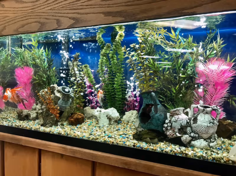 A large decorative fish tank with colorful plants, rocks, ornaments, and goldfish set on a wooden cabinet.