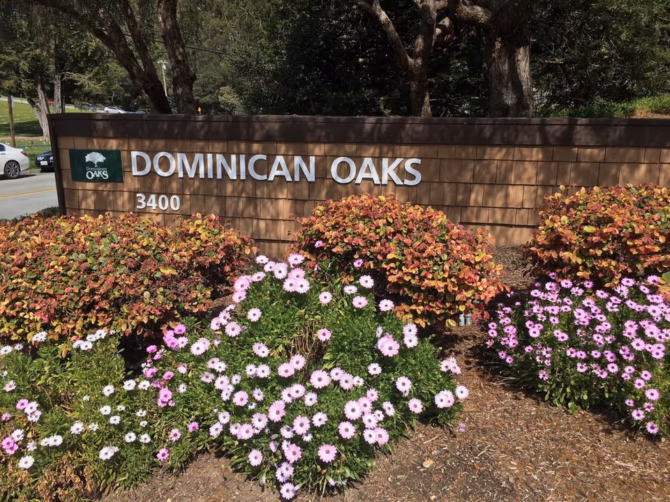Outdoor view of a wooden sign for Dominican Oaks with the address number 3400. The sign is surrounded by colorful bushes and blooming pink and white flowers, with trees and a road visible in the background.