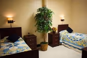 A simple bedroom with two single beds, each with a colorful quilt and a dark pillow. Between the beds are two wooden nightstands with drawers, one holding a small potted plant and the other a decorative item. A tall green potted plant is positioned against a light yellow wall, and two wall-mounted lamps provide soft lighting above each bed.