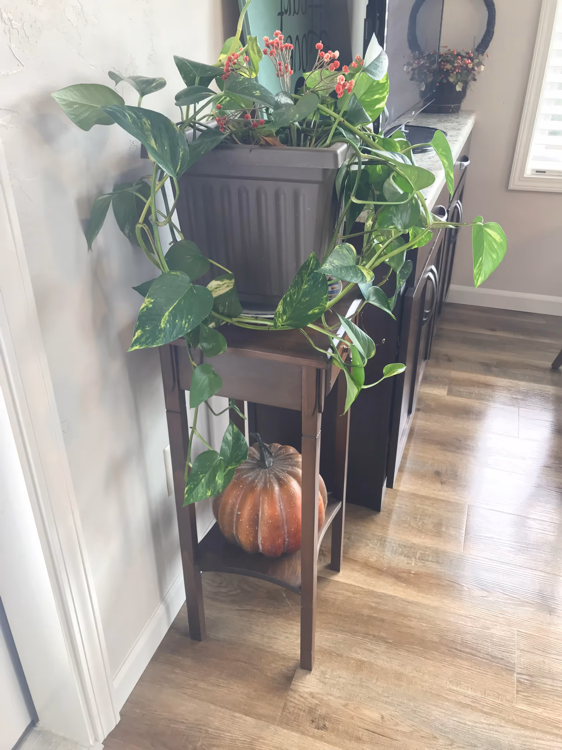 A wooden plant stand with a large potted green leafy plant on top and a decorative pumpkin on the lower shelf, placed on a wooden floor next to a wall and a dark wooden cabinet with a TV on top.
