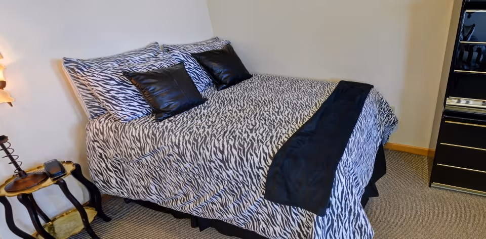 Small bedroom with a zebra-print bedspread, black pillows and throw, a side table with a lamp, and a dresser.