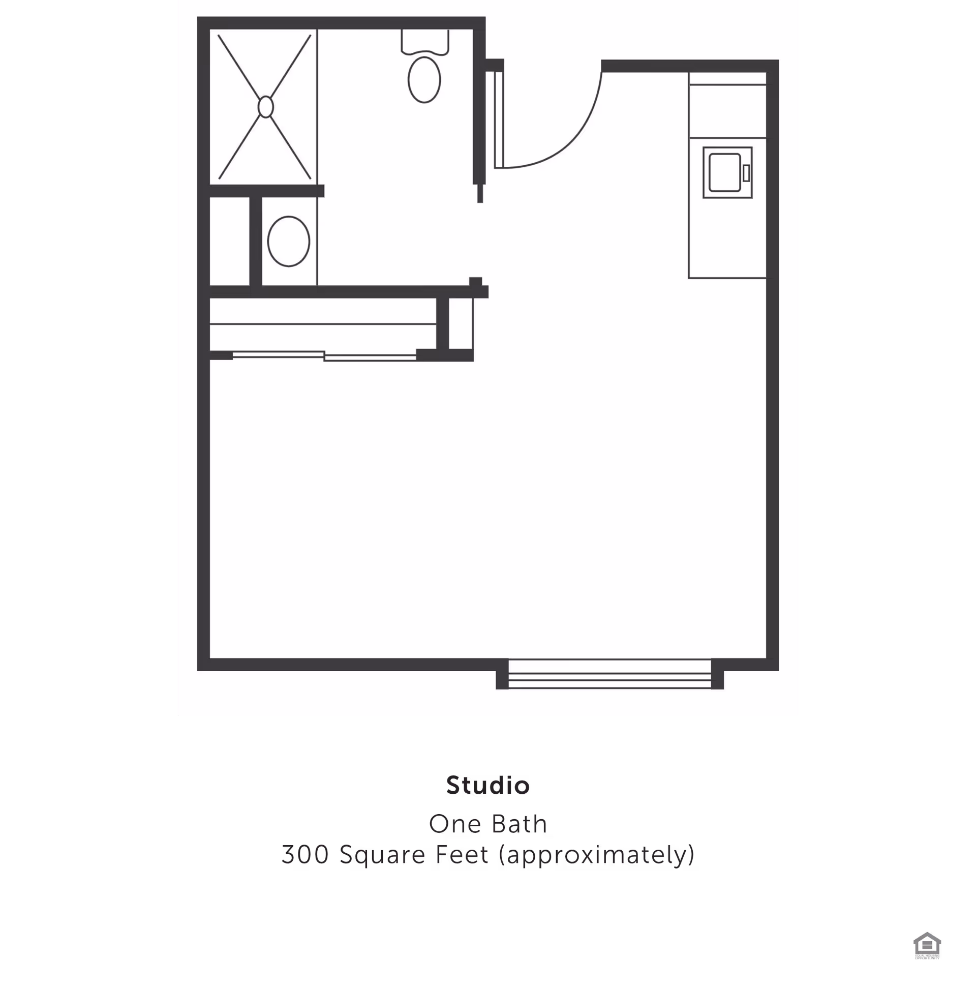 Floor plan of a studio apartment with one bathroom. The layout includes a bathroom with a shower, toilet, and sink, a closet area, and an open living space with a kitchenette. The total area is approximately 300 square feet.