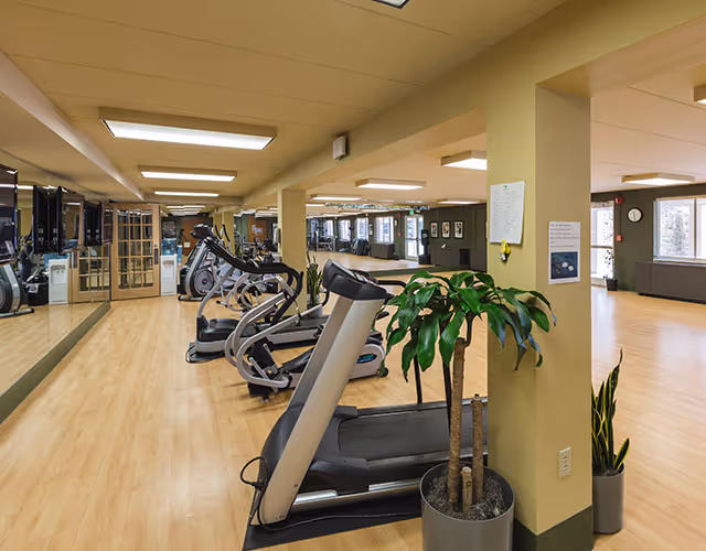 Bright indoor fitness room with treadmills, other cardio machines, large mirrors and potted plants.