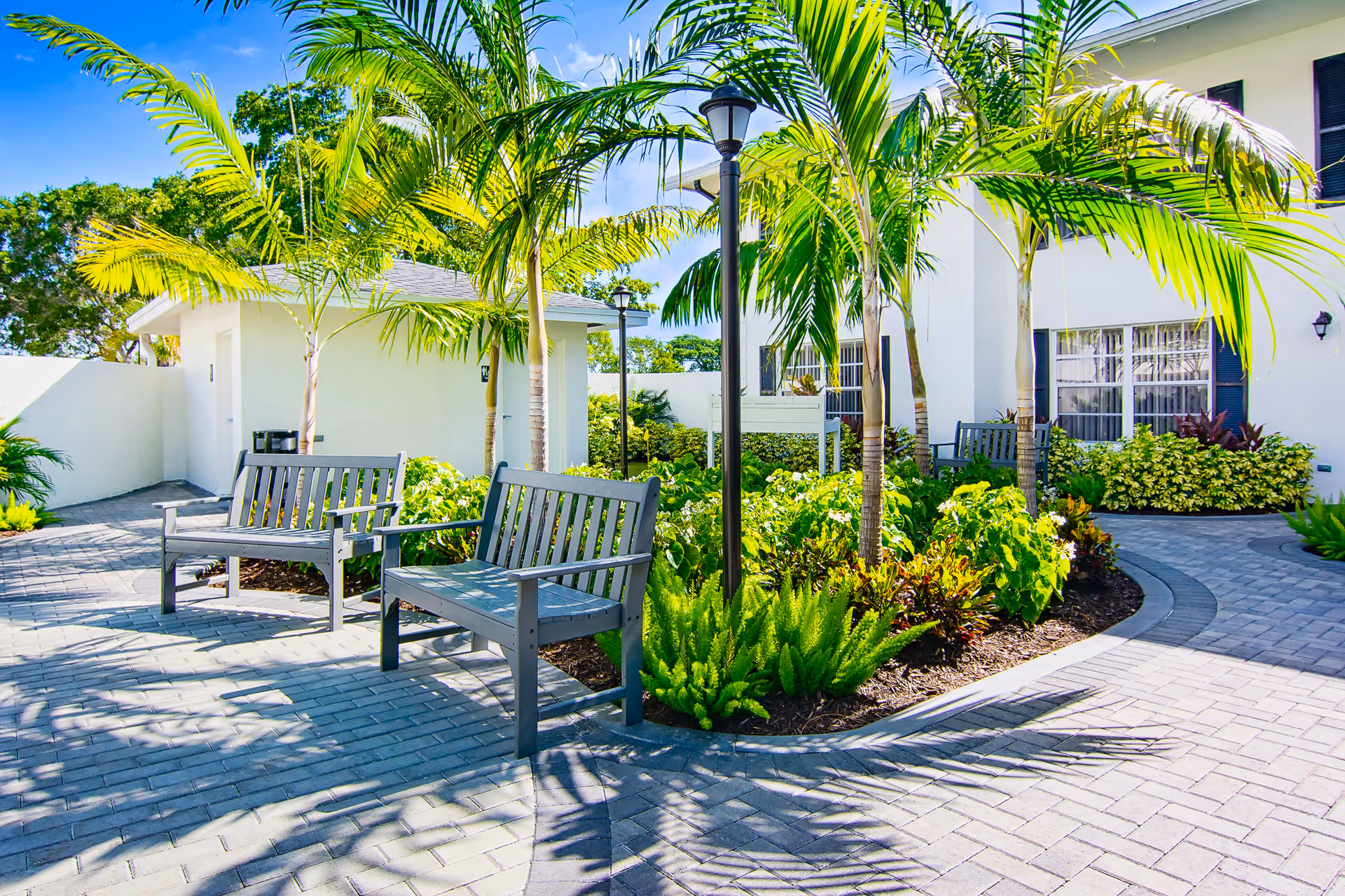 Outdoor courtyard area with paved walkways, several palm trees, green shrubs, and two gray benches. A white building with windows and a small white structure are visible in the background under a clear blue sky.