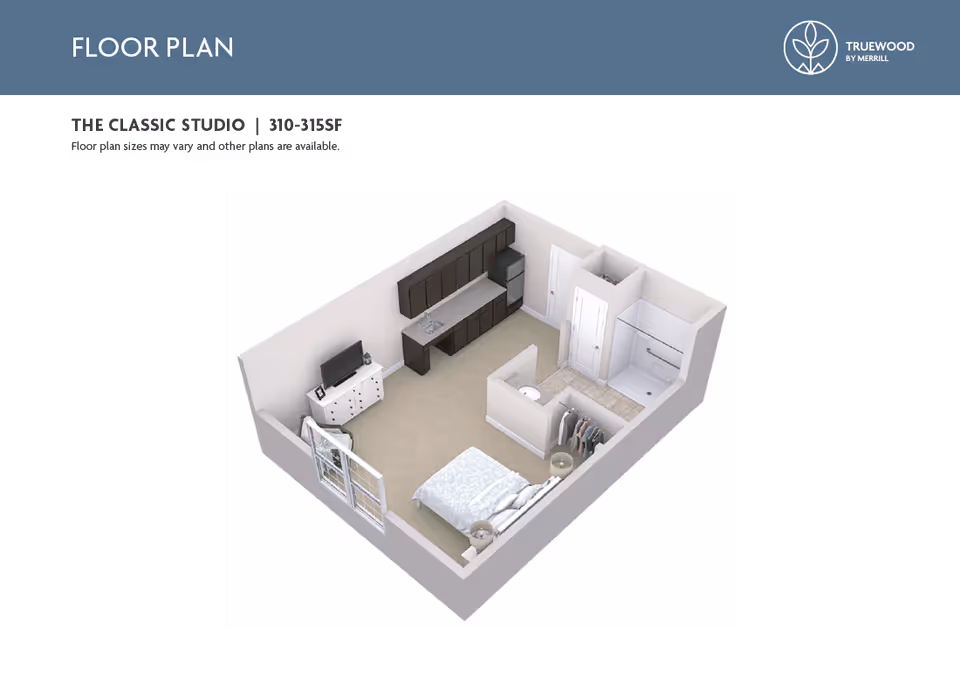 3D floor plan of a classic studio apartment featuring a combined living and sleeping area with a bed, two nightstands, a TV on a dresser, a kitchenette with cabinets, a sink, and a refrigerator. The bathroom includes a shower, toilet, and a small closet area.