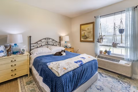 A cozy bedroom with a bed covered in a blue blanket and a white floral throw. A cat is resting on the bed. There are two bedside tables with lamps, a framed painting on the wall, a window with light blue curtains, and several hanging and potted plants near the window. An air conditioning unit is installed below the window.