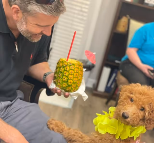 A man holding a pineapple drink with a red straw and a small pink umbrella, smiling at a brown curly-haired dog wearing a yellow flower lei. The setting appears to be indoors with a bookshelf and another person in the background.