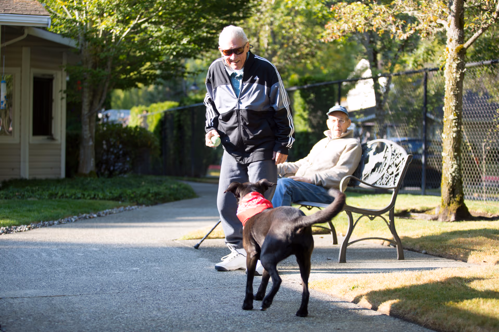 An elderly man wearing sunglasses and a black and gray jacket is standing on a paved pathway playing with a black dog wearing a red bandana. Another elderly man is sitting on a metal bench nearby, watching the interaction. The scene is outdoors with trees, grass, and a fence in the background.