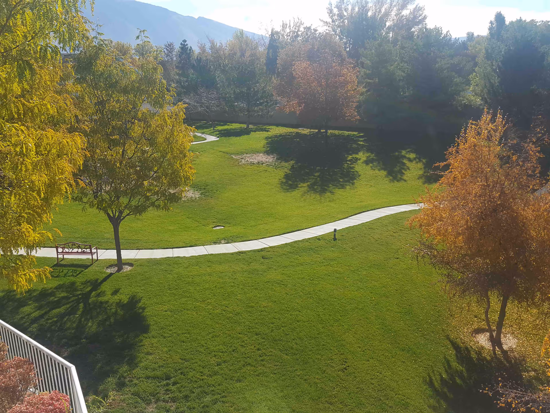 Grassy courtyard with a winding concrete path, trees casting shadows, and a bench near the walkway.