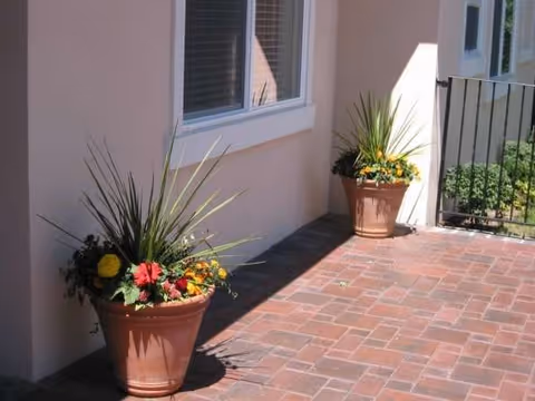 Outdoor brick patio with potted plants beside a beige wall and railing.