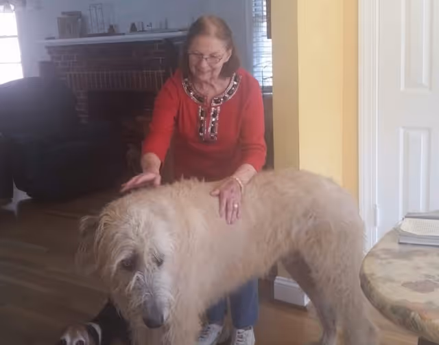 An elderly woman wearing glasses and a red top is smiling and petting a large, light-colored dog inside a living room. A smaller dog is partially visible near the large dog's legs. The room has wooden flooring, a brick fireplace, and a table with a floral tablecloth.